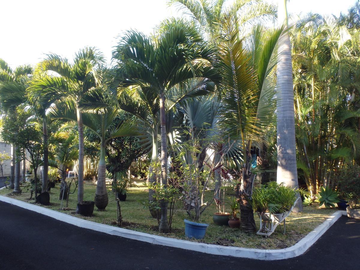 Hotel Residence Le Phoenix แซ็ง-ปีแยร์ ภายนอก รูปภาพ